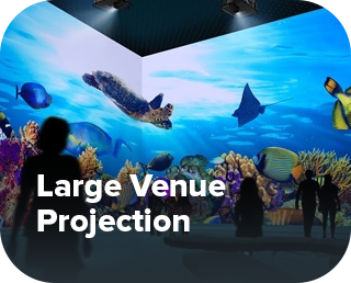 large-top1 large-top1